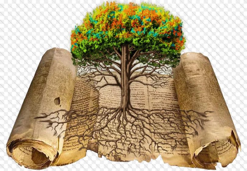 Revd Canon Fr Phil Harris† 🇬🇧🇮🇱🇺🇸 (@philhs10) on Twitter photo Hebraic Roots Bible Study Tonight Tues) at 7:15pm UK 🇬🇧 with Canon Phil Harris (<a href="/PhilHs10/">Revd Canon Fr Phil Harris† 🇬🇧🇮🇱🇺🇸</a>)
As we travel from Eden to Eden, we will look tonight at:
“Grace and Mercy, the Flood.”
youtube.com/@Canon_Fire/li… Hebraic Roots Bible Study Tonight Tues) at 7:15pm UK 🇬🇧 with Canon Phil Harris (<a href="/PhilHs10/">Revd Canon Fr Phil Harris† 🇬🇧🇮🇱🇺🇸</a>)
As we travel from Eden to Eden, we will look tonight at:
“Grace and Mercy, the Flood.”
youtube.com/@Canon_Fire/li…