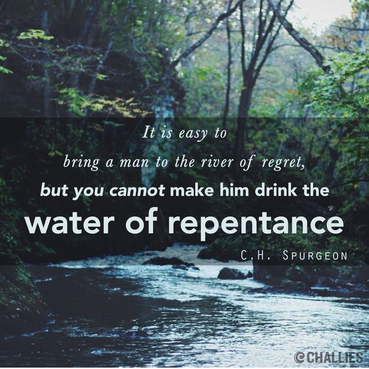 challies's tweet photo. "It is easy to bring a man to the river of regret, but you cannot make him drink the water of repentance." (C.H. Spurgeon) https://t.co/7PR8Fn8GNi
