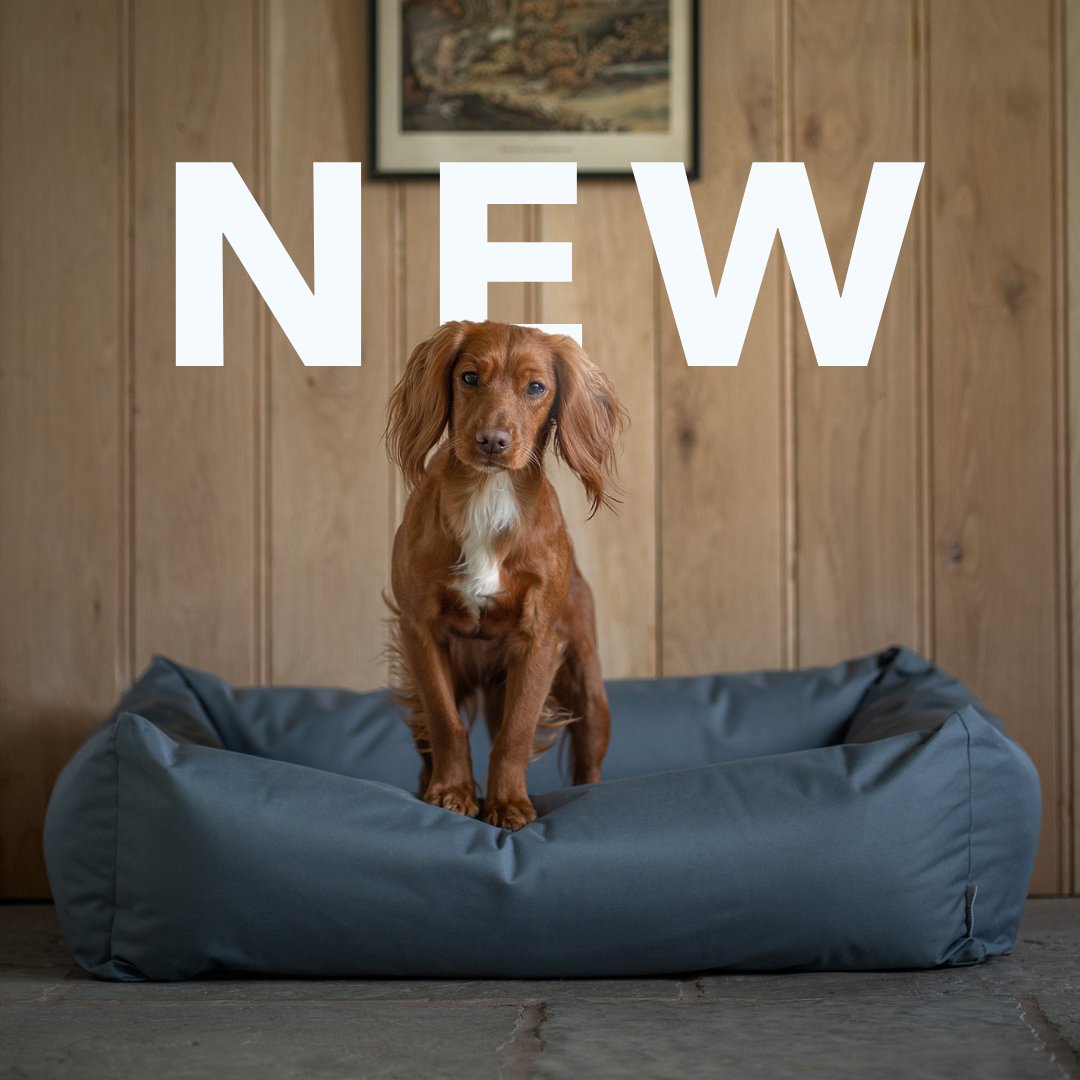 NEW: The Ultimate Waterproof Bed Is Here!

Puppy accidents? No problem. 
Wet, muddy dog? Wipes right off. 
Supportive, comfy, and built to last? Absolutely.

Everything you love about our Burnham Bolster Bed, now with a waterproof cover.

📸 | @adventureswithfernwcs