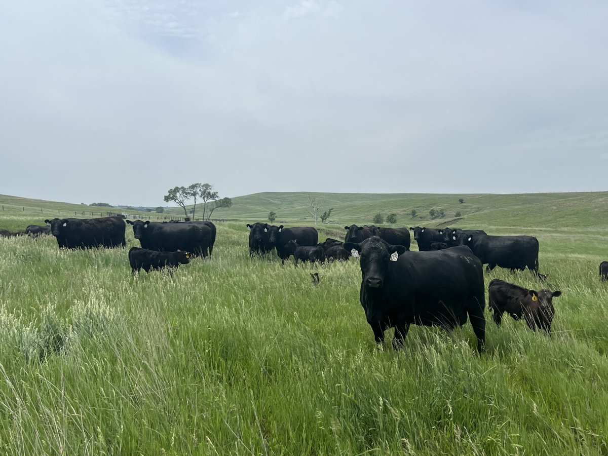 Always a nice feeling to see it Green!