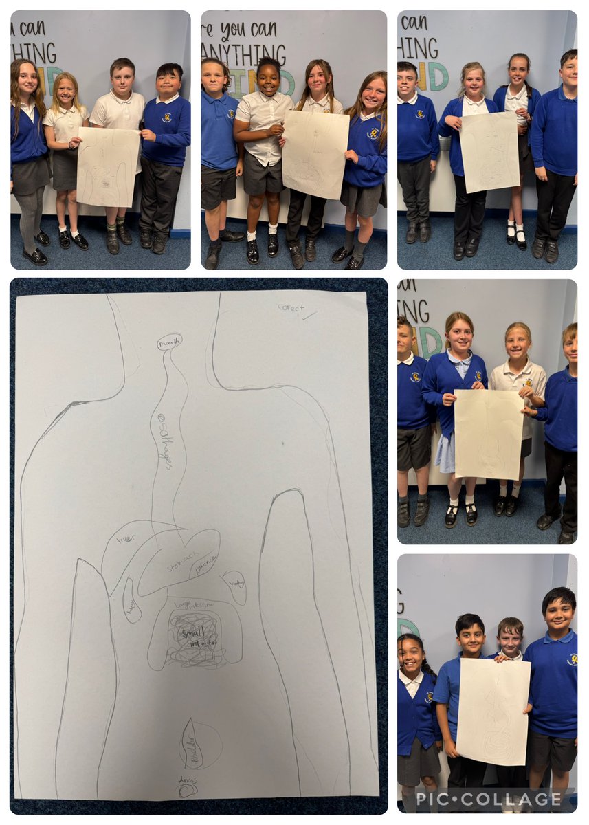 StJohns_Eagle's tweet image. 6RM were exploring the digestive system today and absolutely blew Mr Metcalfe’s sock off with how much they’ve retained from Year 4! 🧠They even predicted where most of the internal organs go before explaining their functions - impressive stuff! 👏 #ScienceStars