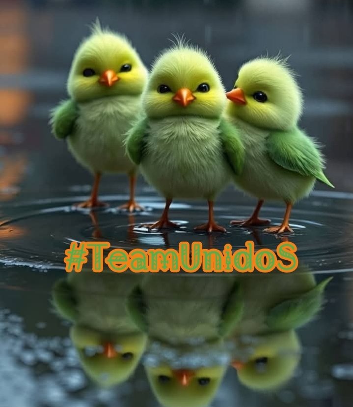 MIRIAN_RD🇩🇴 #LoveDMami ❤AmigosD❤ (@miarianmoreno) on Twitter photo 🐥#TeamUnidoS
<a href="/Fer_TeamUnidoS/">TΞ🅰️〽️UЛłÐ🎱S</a>
<a href="/AliceUnidoSTeam/">Alice🇨🇵TeamUnidoS</a>
<a href="/Mechis_M/">🥀𑜞᭄ ❤️🔥ℳariղ❤️🔥🥀𑜞᭄</a>
<a href="/srone82/">♥ 🏋️ 💪MIGUEL 💪 ♥</a>
<a href="/mamiRD_/">🇩🇴mamiRD_ #LoveDeMami❤ AmigosDe❤</a>
<a href="/_lawonder/">༺ •✫ 𝘞𝘰𝘯𝘥𝘦𝘳 ✫• ༻</a>
<a href="/bordong2/">GΣЯΛ</a>
<a href="/Alana__28/">#AmigosD❤ #LoveDeMami</a>
<a href="/fitoazul1/">fitoazul #TFFLOVE</a>
<a href="/Saori__M/">ღƪ(ˆ◡ˆ)ʃ♡ℳДƦîƝ இ️ ♡</a>
<a href="/sdh_2031/">𓃵MBS🇸🇦 💛🖤🫶صالح الحلوان 🫶💛🖤🇸🇦 MBS 𓃵</a>
<a href="/majd9757/">M</a>
<a href="/Luccy_007/">Lucy</a>
<a href="/Fany_2123/">@Fany</a>
<a href="/Mabel_2021_/">Mabel</a>
<a href="/miarianmoreno/">MIRIAN_RD🇩🇴 #LoveDMami ❤AmigosD❤</a>
<a href="/vinaymishra1961/">VINAY</a>
<a href="/GONZALEZRNGL/">Ramnulf</a>
<a href="/yudithlucena15/">Adriana#TeamUnidoS❤❤</a>
<a href="/insaurraldeh/">⭐POLI⭐ #MGWV⭐</a>
<a href="/oscarforgioni/">Hector Oscar Spikerman</a> 🐥#TeamUnidoS
<a href="/Fer_TeamUnidoS/">TΞ🅰️〽️UЛłÐ🎱S</a>
<a href="/AliceUnidoSTeam/">Alice🇨🇵TeamUnidoS</a>
<a href="/Mechis_M/">🥀𑜞᭄ ❤️🔥ℳariղ❤️🔥🥀𑜞᭄</a>
<a href="/srone82/">♥ 🏋️ 💪MIGUEL 💪 ♥</a>
<a href="/mamiRD_/">🇩🇴mamiRD_ #LoveDeMami❤ AmigosDe❤</a>
<a href="/_lawonder/">༺ •✫ 𝘞𝘰𝘯𝘥𝘦𝘳 ✫• ༻</a>
<a href="/bordong2/">GΣЯΛ</a>
<a href="/Alana__28/">#AmigosD❤ #LoveDeMami</a>
<a href="/fitoazul1/">fitoazul #TFFLOVE</a>
<a href="/Saori__M/">ღƪ(ˆ◡ˆ)ʃ♡ℳДƦîƝ இ️ ♡</a>
<a href="/sdh_2031/">𓃵MBS🇸🇦 💛🖤🫶صالح الحلوان 🫶💛🖤🇸🇦 MBS 𓃵</a>
<a href="/majd9757/">M</a>
<a href="/Luccy_007/">Lucy</a>
<a href="/Fany_2123/">@Fany</a>
<a href="/Mabel_2021_/">Mabel</a>
<a href="/miarianmoreno/">MIRIAN_RD🇩🇴 #LoveDMami ❤AmigosD❤</a>
<a href="/vinaymishra1961/">VINAY</a>
<a href="/GONZALEZRNGL/">Ramnulf</a>
<a href="/yudithlucena15/">Adriana#TeamUnidoS❤❤</a>
<a href="/insaurraldeh/">⭐POLI⭐ #MGWV⭐</a>
<a href="/oscarforgioni/">Hector Oscar Spikerman</a>