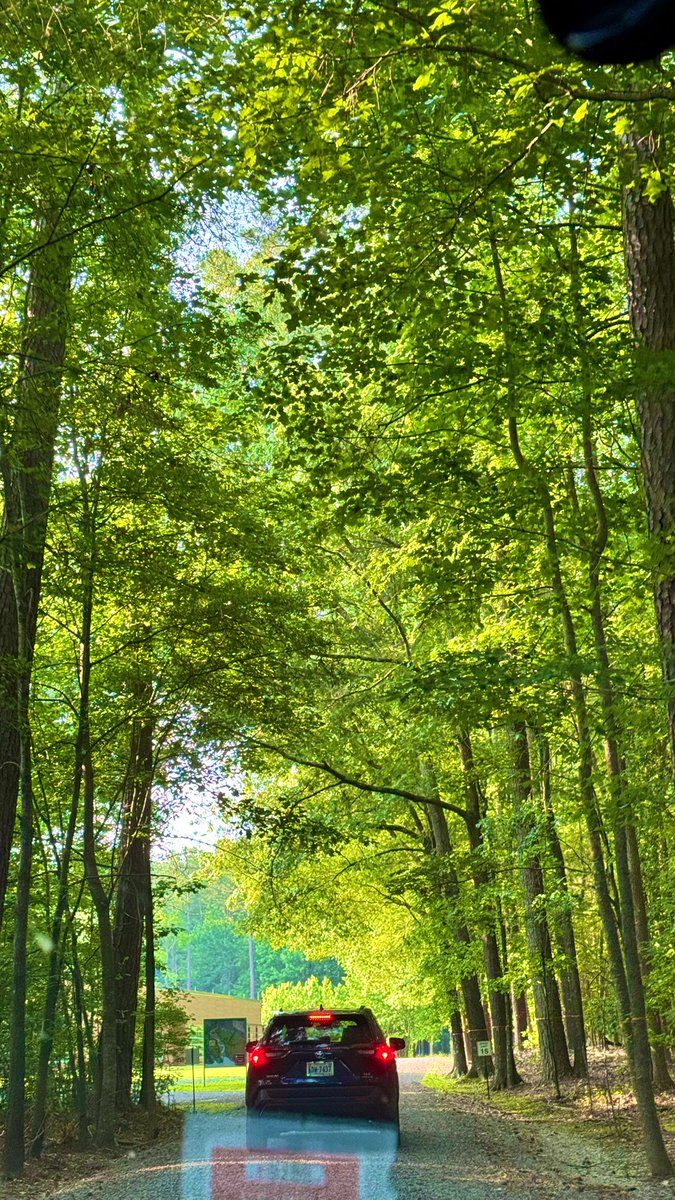 vinayjaha's tweet image. Beautiful day to be at the lush VCU Rivers Center for the @VCU_Liver Research Retreat ☀️
Meeting the crew from the various Stravitz Sanyal Liver Institute programs - clinical research, biorepository, data hub, basic science, imaging 🏥
🧪 Impactful slide by @saulkarpen:…
