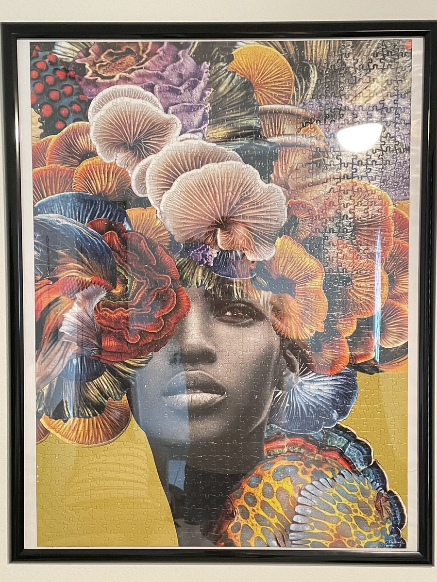 I just recently did this puzzle and I already had the frame... I just love it! What do you think?
