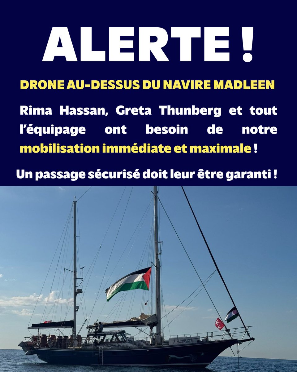 les faux cils et le marteauφ✊️☮️🕊🐢🇨🇵🇱🇧🇸🇩 (@marinade67805) on Twitter photo 