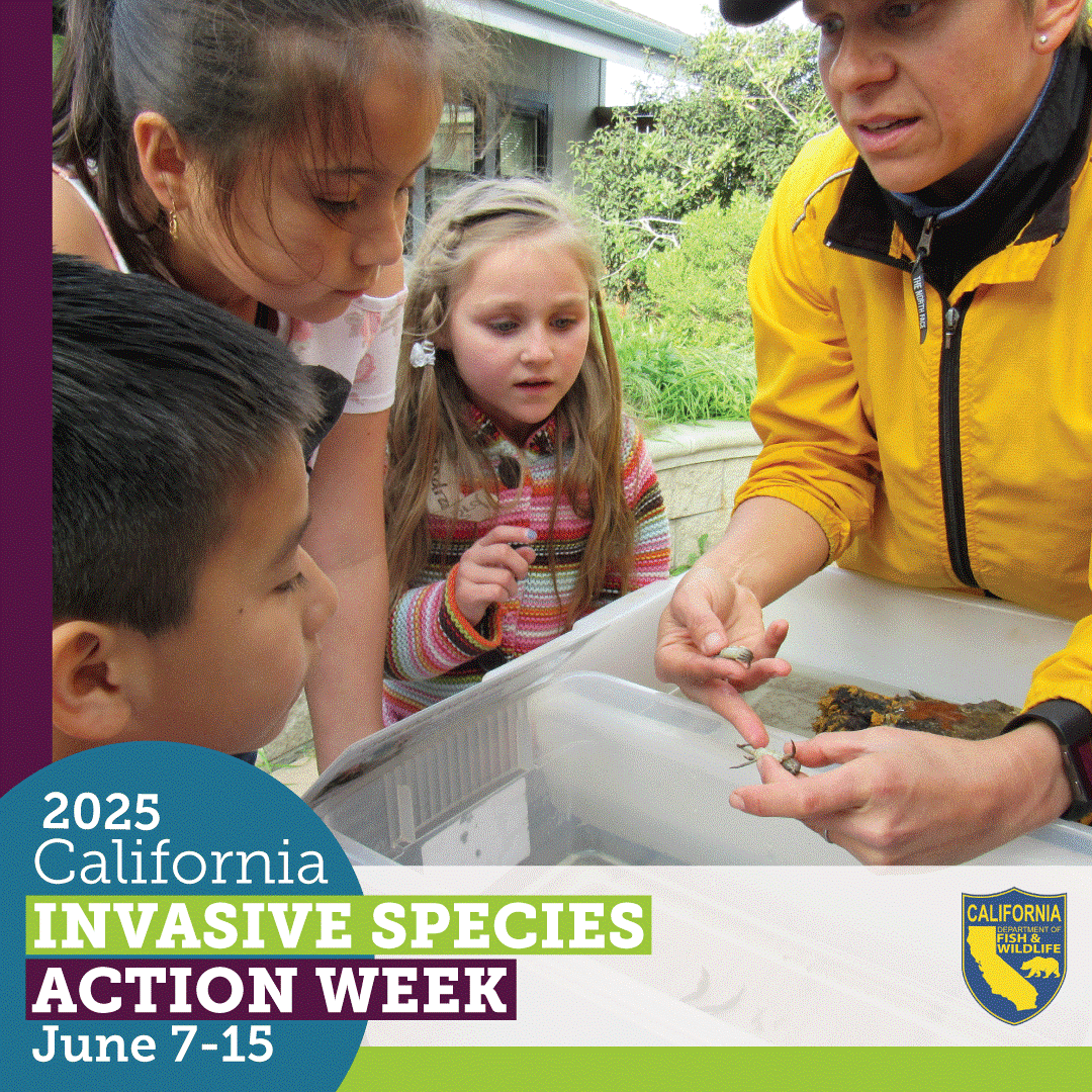 California Department of Fish and Wildlife tweet media