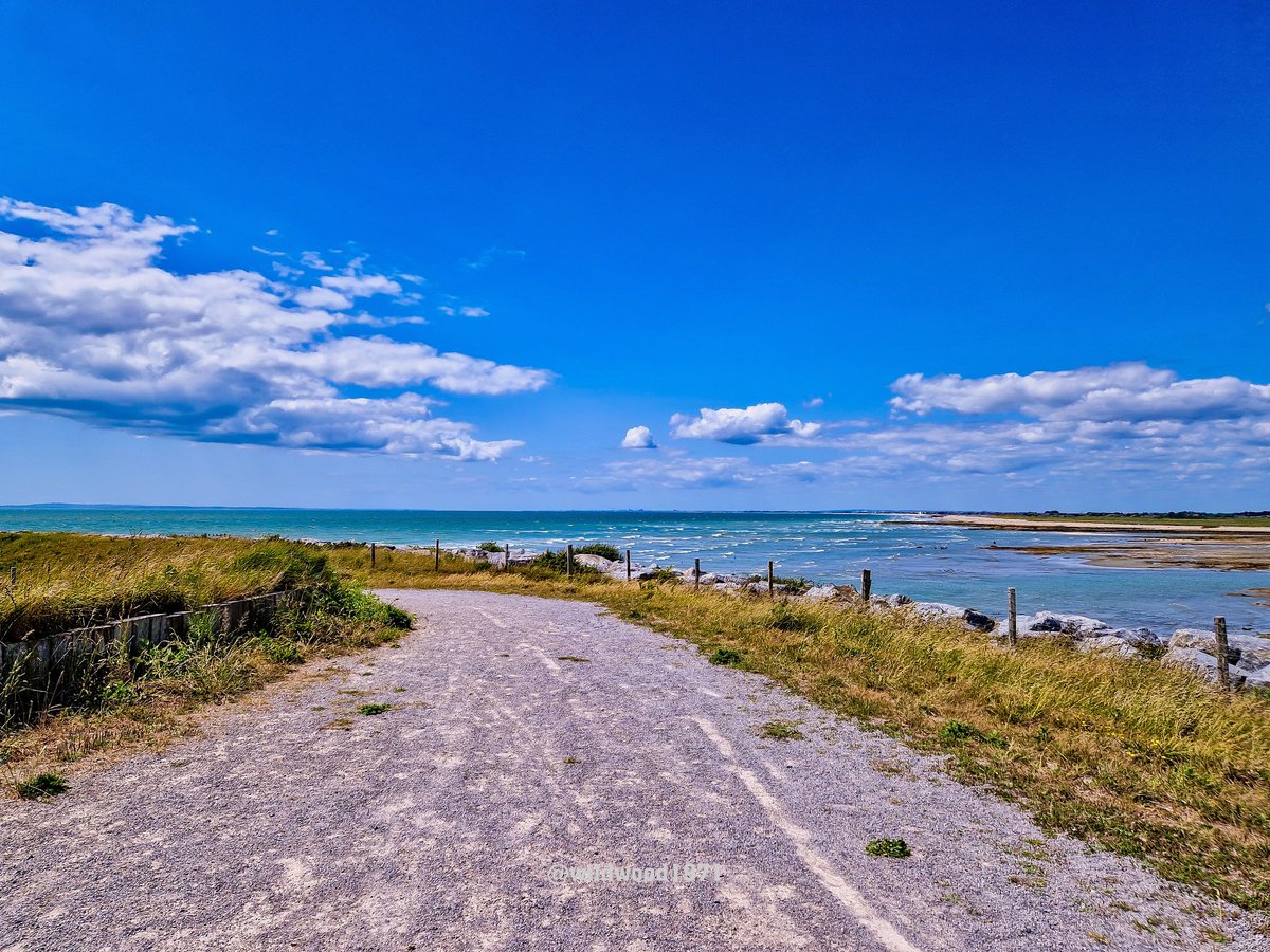 Wildwood1971 (Wild and Woody Photography) (@wildwood1971) on Twitter photo RSPB Medmerry yesterday. ❤️ love it here . Looking west towards Earnley and Bracklesham <a href="/BBCSouthWeather/">BBCSouthWeather</a> <a href="/itvmeridian/">ITV News Meridian</a> <a href="/ThePhotoHour/">#ThePhotoHour</a> <a href="/AlexisGreenTV/">Alexis Green</a> <a href="/PhilippaDrewITV/">Philippa Drew</a> <a href="/HollyJGreen/">Holly Green - Weather Presenter</a> <a href="/greatsussexway/">The Great Sussex Way</a> <a href="/ExpSussex/">ExperienceSussex</a> <a href="/PONewsHub/">PO Hub</a> <a href="/Natures_Voice/">RSPB</a> <a href="/RSPBPagham/">RSPB Pagham Harbour</a> RSPB Medmerry yesterday. ❤️ love it here . Looking west towards Earnley and Bracklesham <a href="/BBCSouthWeather/">BBCSouthWeather</a> <a href="/itvmeridian/">ITV News Meridian</a> <a href="/ThePhotoHour/">#ThePhotoHour</a> <a href="/AlexisGreenTV/">Alexis Green</a> <a href="/PhilippaDrewITV/">Philippa Drew</a> <a href="/HollyJGreen/">Holly Green - Weather Presenter</a> <a href="/greatsussexway/">The Great Sussex Way</a> <a href="/ExpSussex/">ExperienceSussex</a> <a href="/PONewsHub/">PO Hub</a> <a href="/Natures_Voice/">RSPB</a> <a href="/RSPBPagham/">RSPB Pagham Harbour</a>