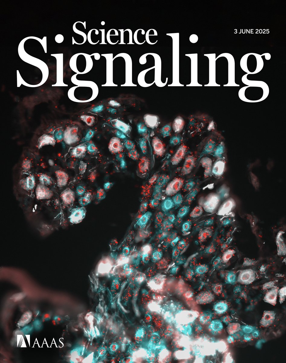 Science Signaling tweet media