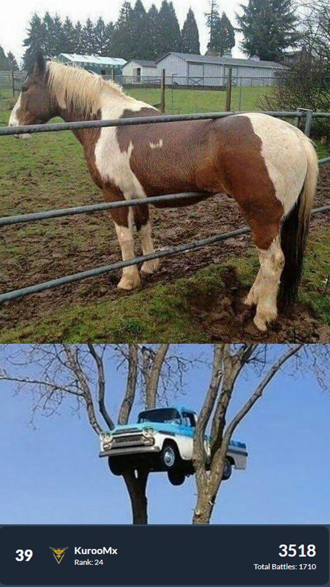 Cosas que nadie sabe como llegaron ahí 😳

Asi cerramos esta temporada por primera vez en los rankings de #GBL, veremos que tal nos va en la siguiente que inicia hoy 🔥