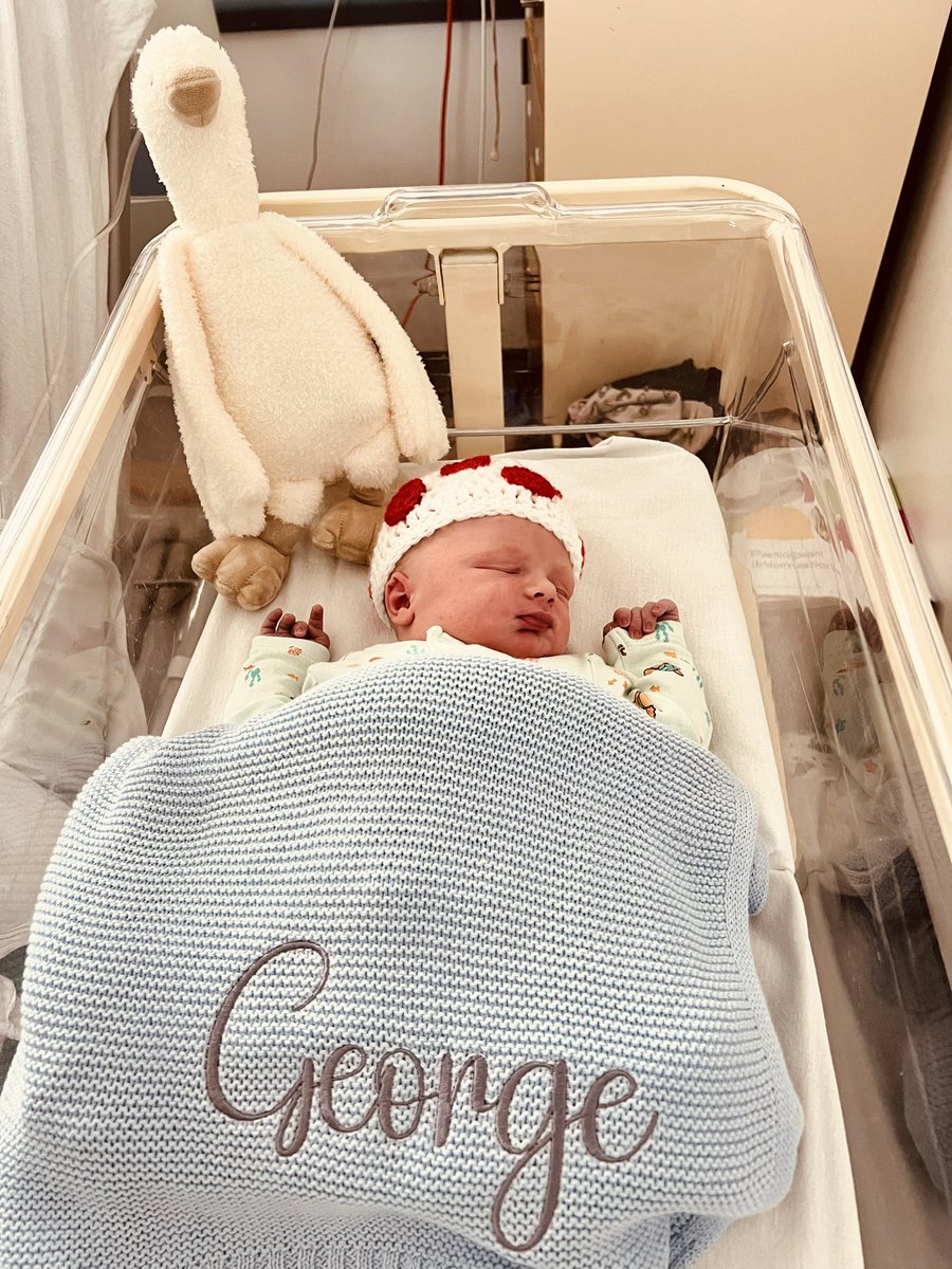 Theme Park Worldwide tweet media