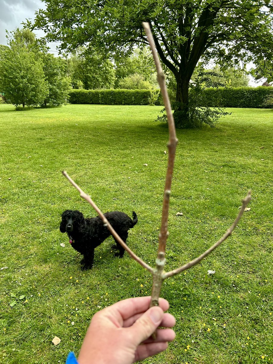 I just found this in the park and now it’s 1990 and I’m Raphael! #teenagemutantninjaturtles