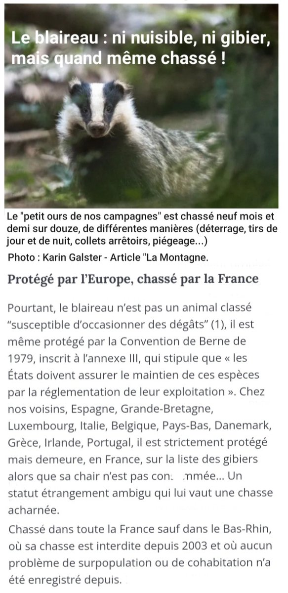 AntiChasse ⒶⓁⒻ tweet media