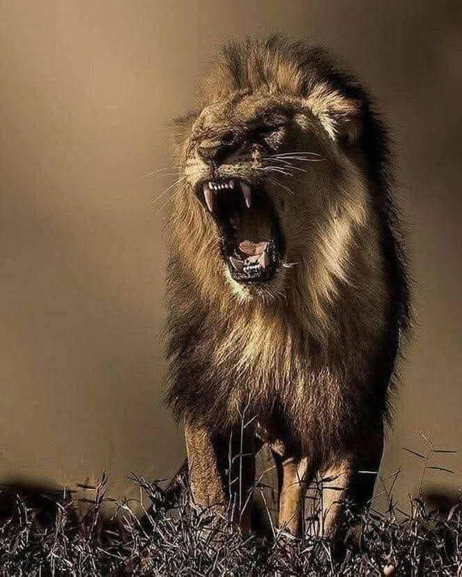 أسوأ معركة في حياتك هي عندما يدفعك الناس إلى أن تكون شخصا آخر.