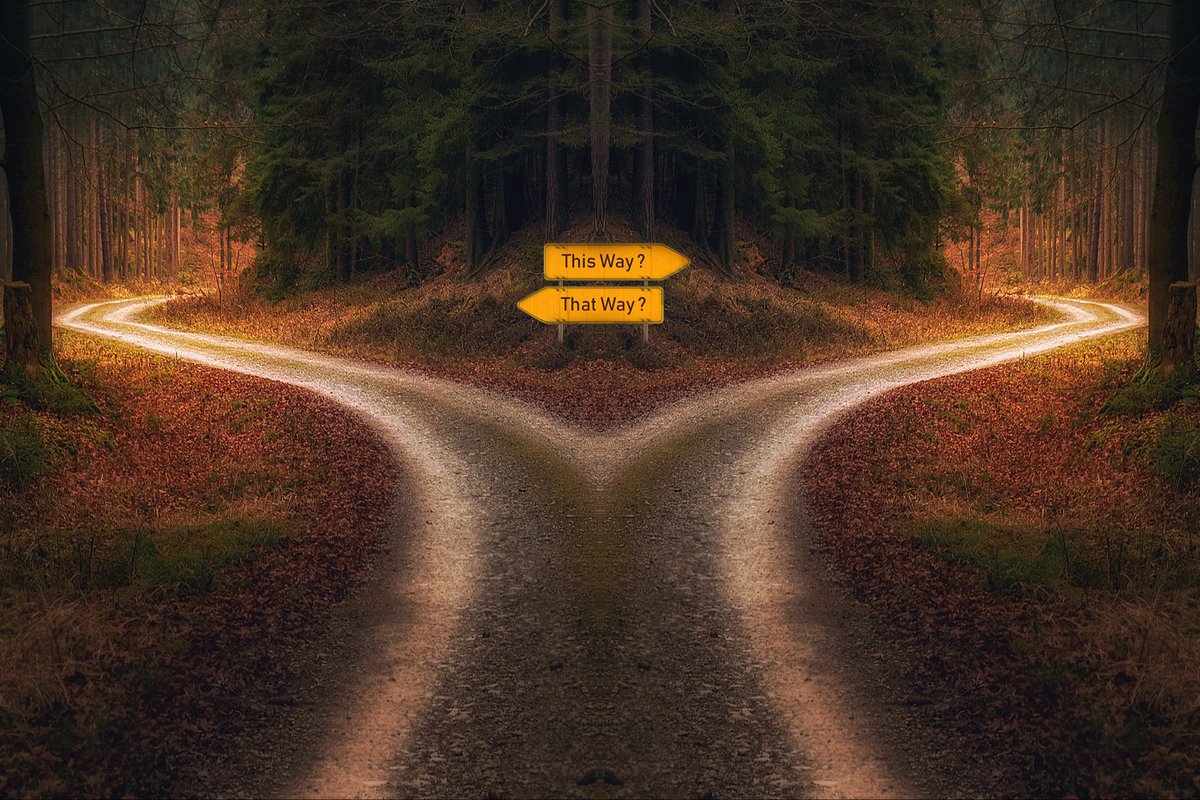 Abigail Lindsay (@abigaillindsay_) on Twitter photo 