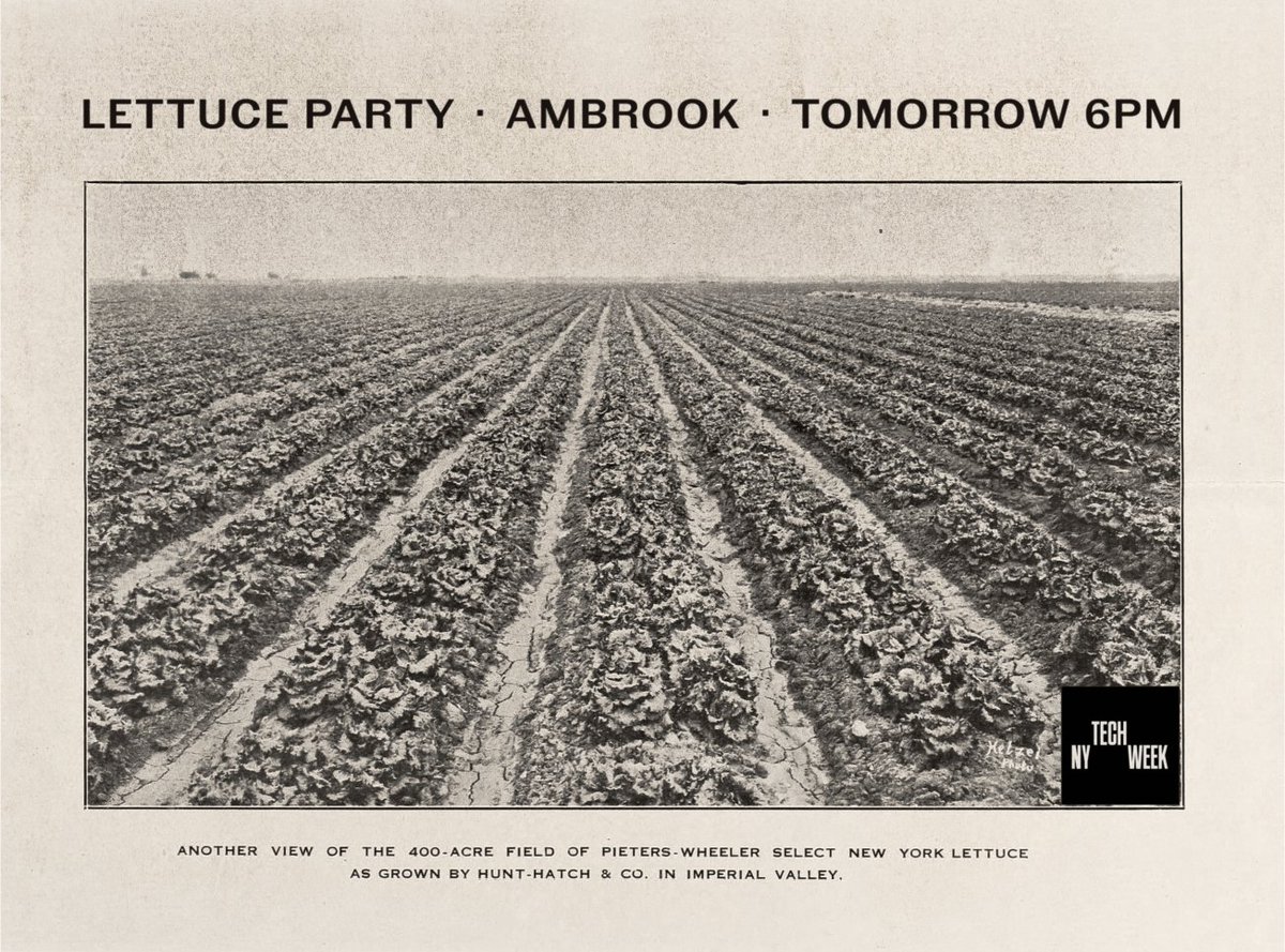 new york's hottest club is lettuce party @ ambrook