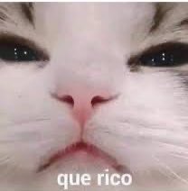 Im_Lixie_'s tweet photo. @emixtaylorr El olor del hocico de mi perro, no me juzguen https://t.co/UKHKCOSsGP