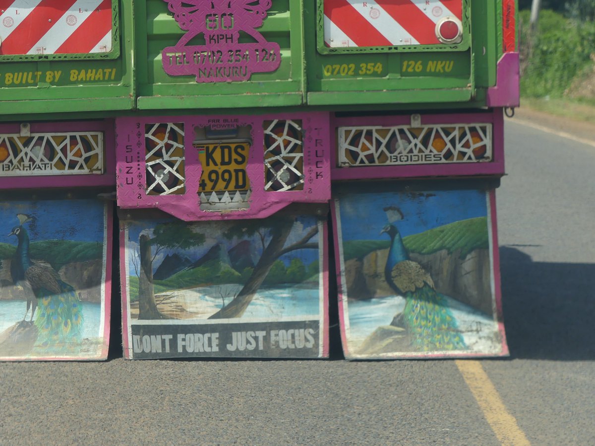 PhotosForTrees's tweet image. Highway sages #mombasaroad