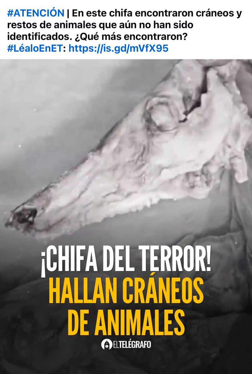 Yonnys Obando Bautista (@inclaudicable62) on Twitter photo DEFINITIVAMENTE <a href="/Arcsa_Ec/">Arcsa Ecuador</a> DEBERÍAN CERRARLO DEFINITIVAMENTE. ESTOS LOCALES NO SON RESTAURANTES, SON UN PELIGRO PARA EL SER HUMANO. DEFINITIVAMENTE <a href="/Arcsa_Ec/">Arcsa Ecuador</a> DEBERÍAN CERRARLO DEFINITIVAMENTE. ESTOS LOCALES NO SON RESTAURANTES, SON UN PELIGRO PARA EL SER HUMANO.