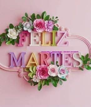 🤍🍀🩷🌸 Linda tarde 🤍🍀🩷🌸🤍🍀🩷🌸🤍🍀🩷🌸🤍🍀🩷🌸🤍🍀🩷🌸🤍🍀🩷🌸🤍🍀🩷🌸🤍🍀