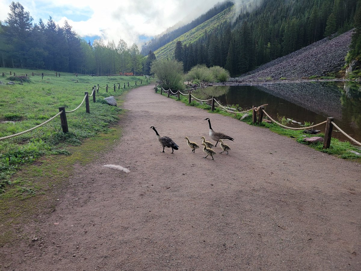 Seeing the Maroon Bells never gets old.
