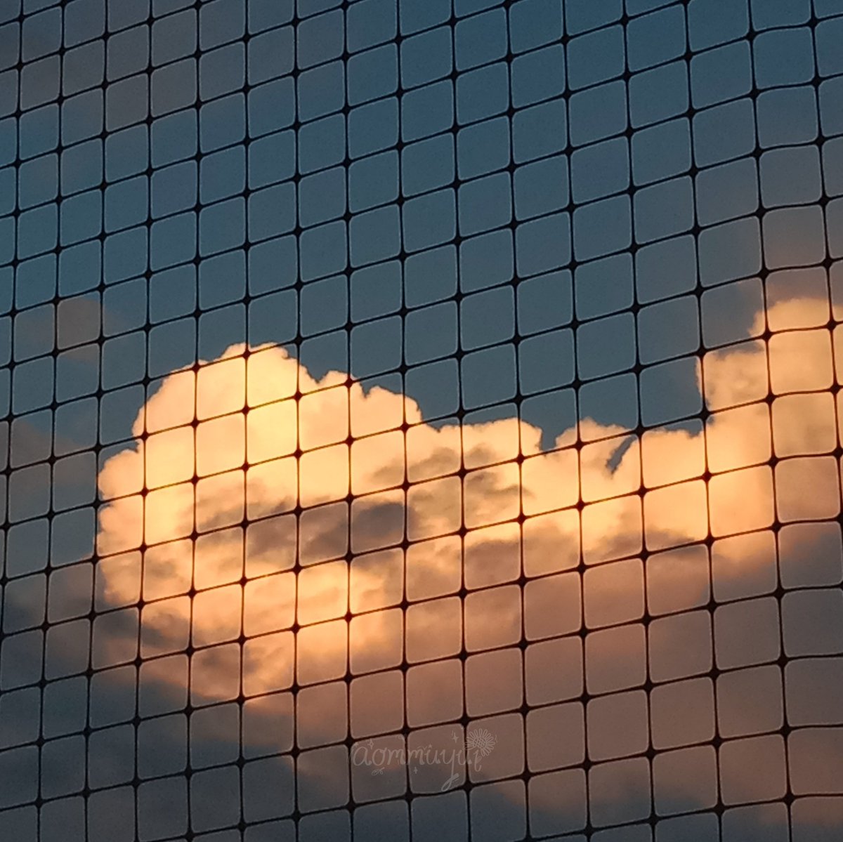 ตาข่ายดักฝันจะแขวนรออยู่นั้น~~