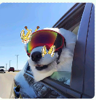 Alcoholicos Anonimos🦭/acc🔆 tweet media