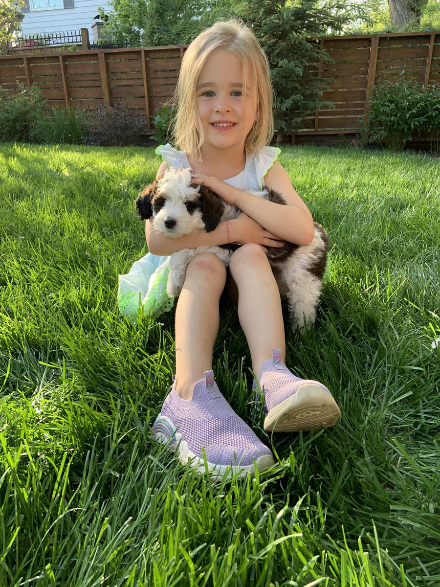 Due to popular demand, Simone 🐶 will be at the Awesome Lemonade Stand 🍋. 

Will you?

Saturday, noon - 5pm

The corner of 62 St &amp; Ada Blvd

All funds in support of <a href="/ALS_AB/">ALS Society of AB</a> 

More here: alssocietyofalberta.akaraisin.com/ui/walktogethe…