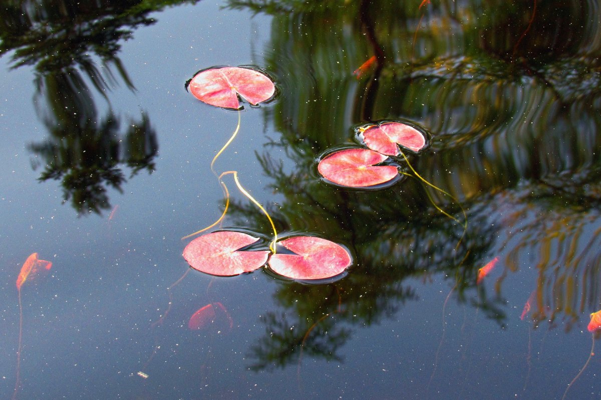 Tough day at work...lol