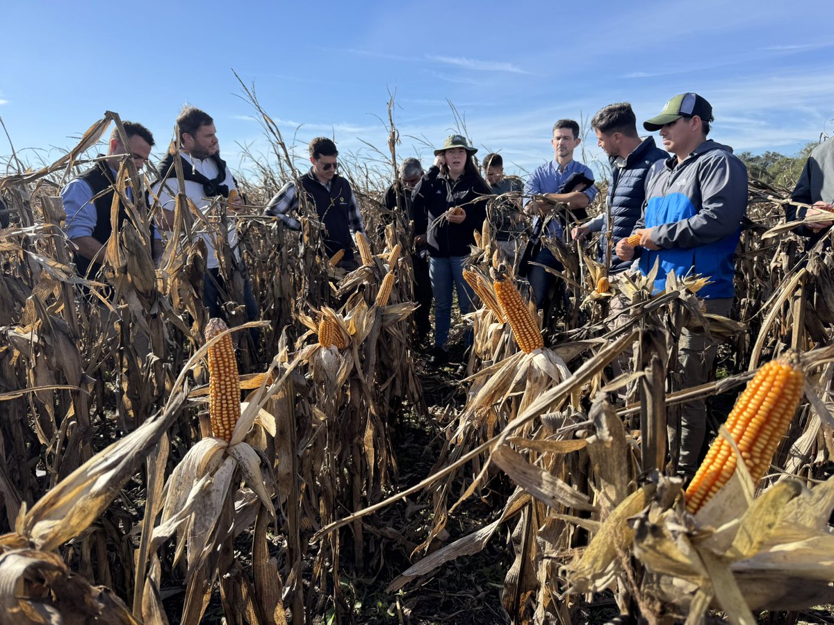 Grupo Charata tweet media