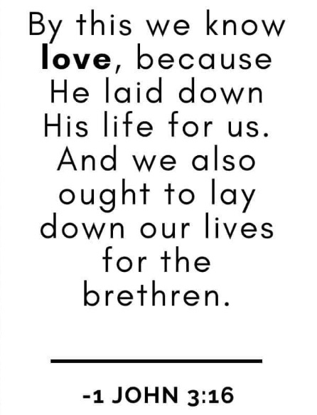 Jon Buerger (@jonbuerger) on Twitter photo 