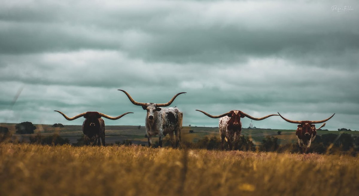 KAKE News tweet media