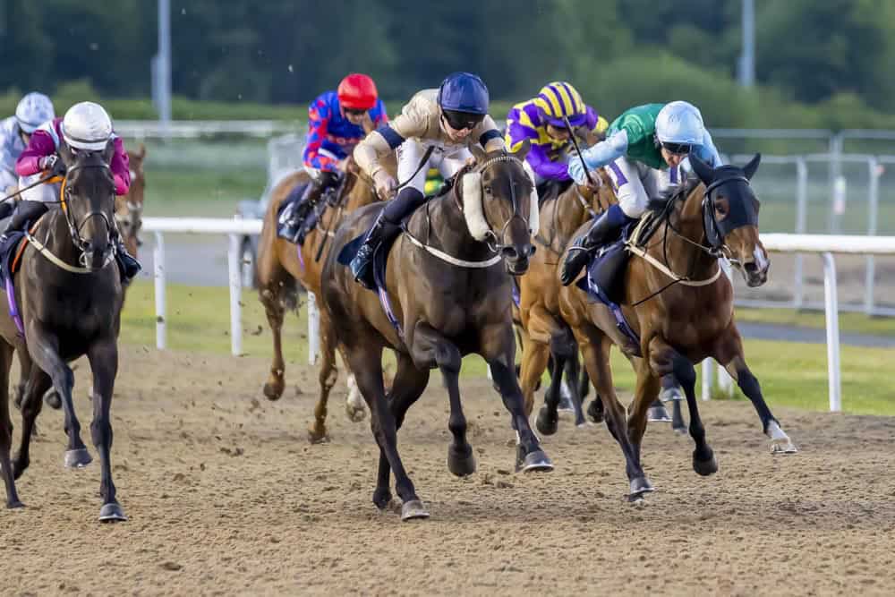 Hambleton Racing (@hambletonracing) on Twitter photo Last time out winner DREAM ILLUSION is in action again at <a href="/NottsRacecourse/">Nottingham Racecourse</a> tomorrow afternoon!
Best of luck to her owners and the <a href="/karl_burke/">Karl Burke</a> team🤩 Last time out winner DREAM ILLUSION is in action again at <a href="/NottsRacecourse/">Nottingham Racecourse</a> tomorrow afternoon!
Best of luck to her owners and the <a href="/karl_burke/">Karl Burke</a> team🤩