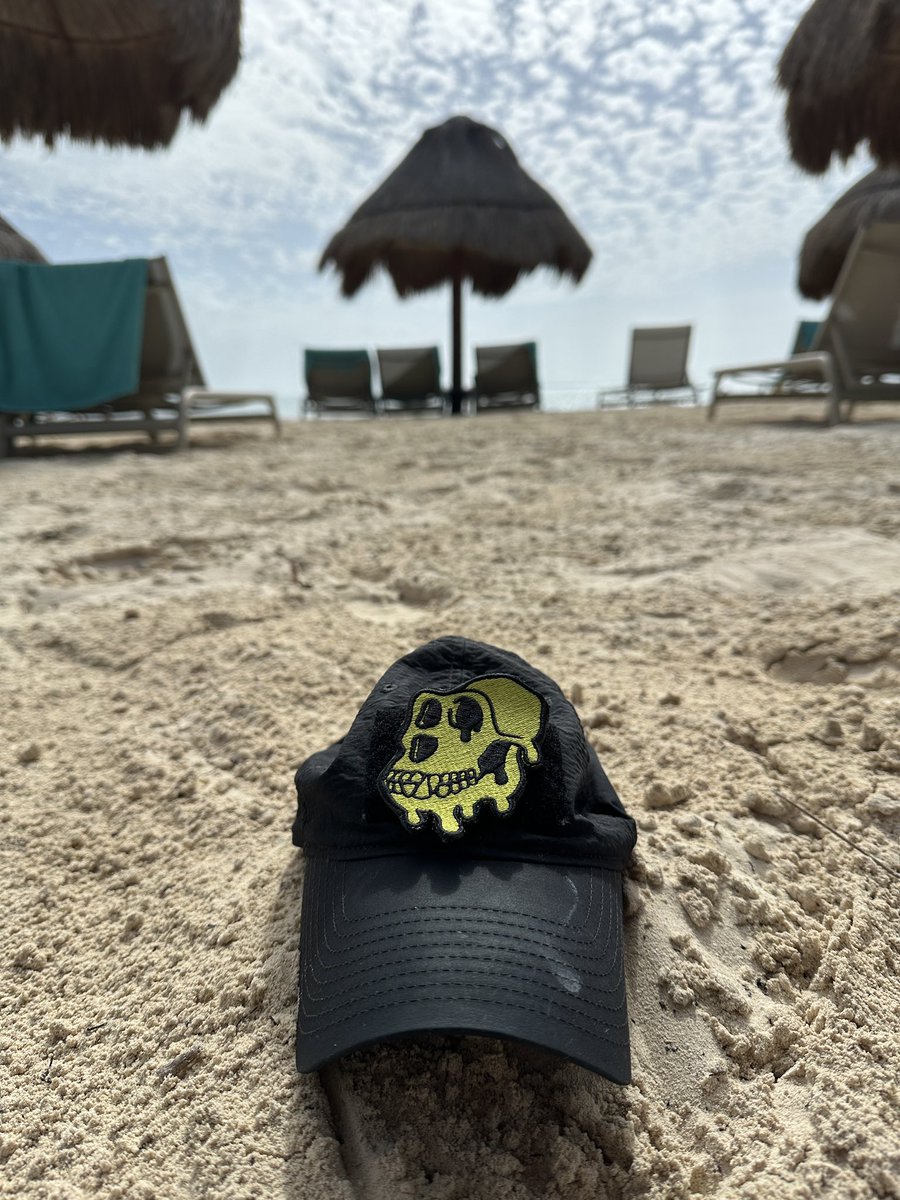 GM Apes

Taking a needed break before I launch something unique on #ApeChain. 

Pretty sure it hasn’t been done before. Looking forward to you all trying it.