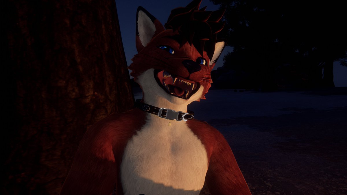 ⚠️this fox has a new collar come see it ⚠️
           ⬇️⬇️⬇️⬇️⬇️⬇️⬇️⬇️
                 twitch.tv/xavoto_fox