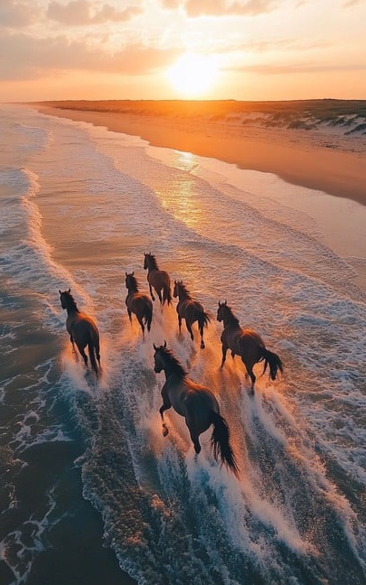 Beauty Explorer (@beautyexplorer0) on Twitter photo 