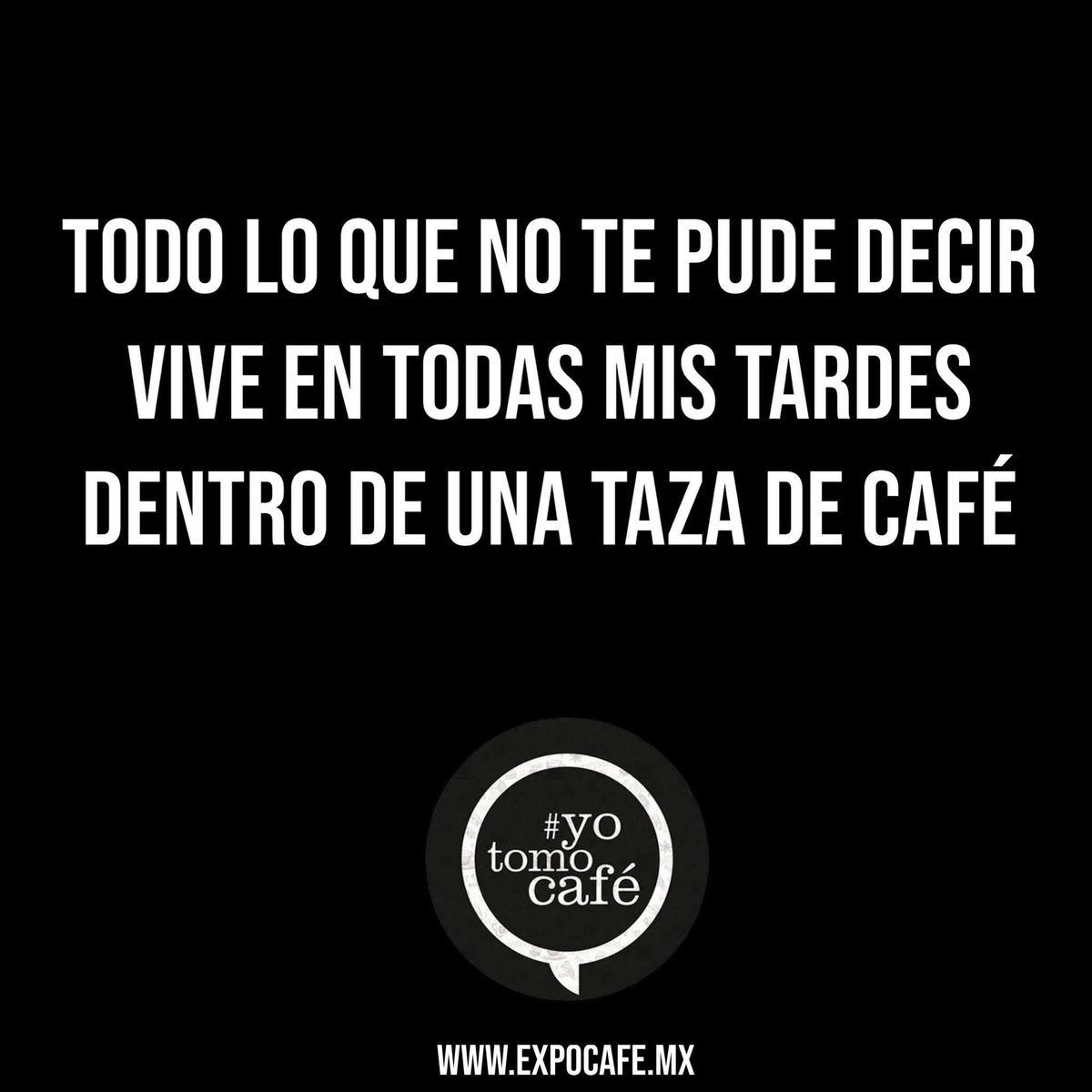 Todo lo que no te pude decir, vive en todas mis tardes, dentro de una taza de café…