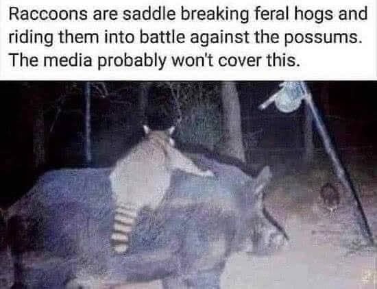 🤣