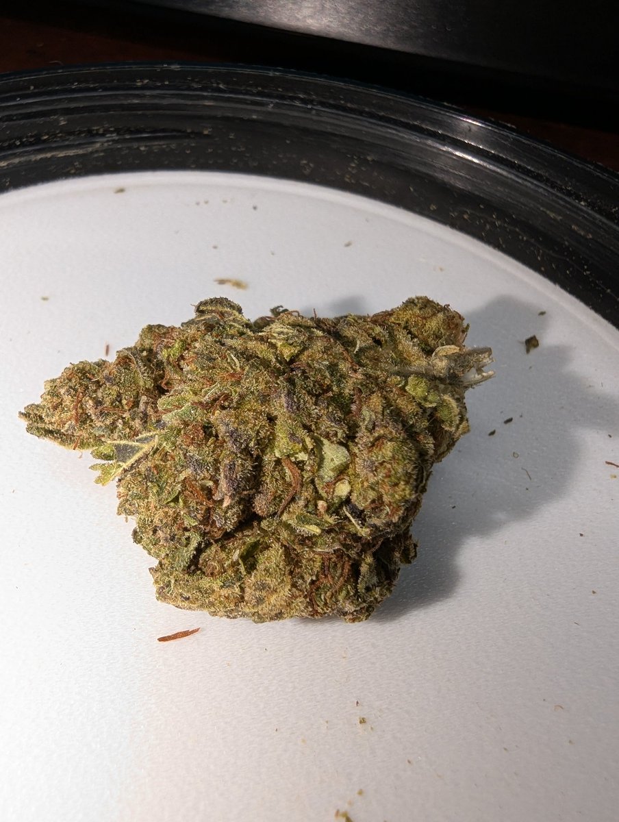 Today's smoke is some Pablo's Revenge from <a href="/SamSmokesALot16/">SamSmokesALot👽</a>. This is from the budget side and this shit has me fucking LOCKED 🔒. Super dense &amp; fresh nugs that break up amazing with a grinder and smoke super smooth. For some budget I'd give Pablo's Revenge a 9.3/10 Nap time now✌🏼