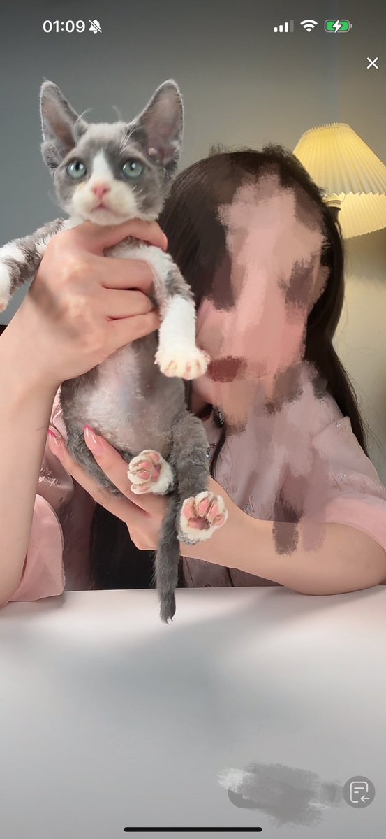 养猫了
征个名 https://t.co/lO32MtKKj8