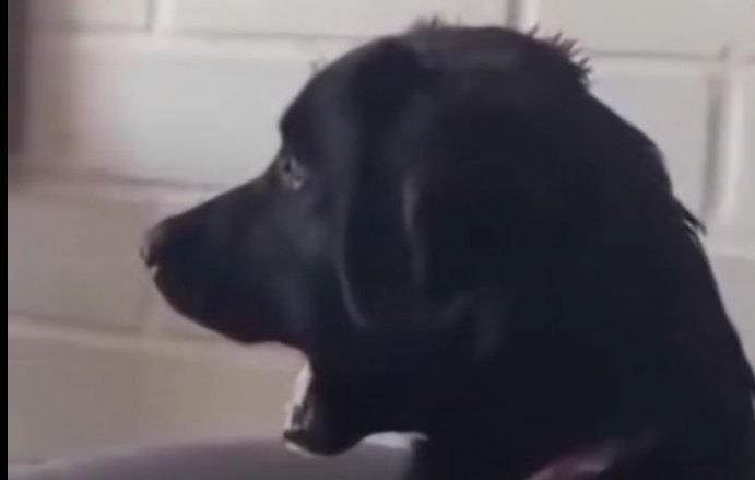 Kienyeji akifika Nairobi apate mende za huku zinapepea 😂