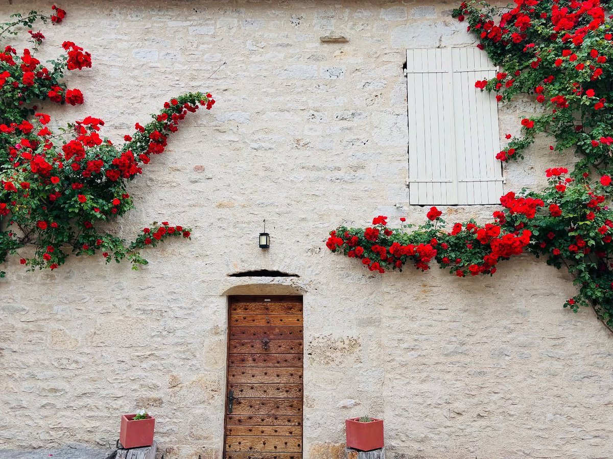 La rose vit un jour, mais ce jour est sans pareille