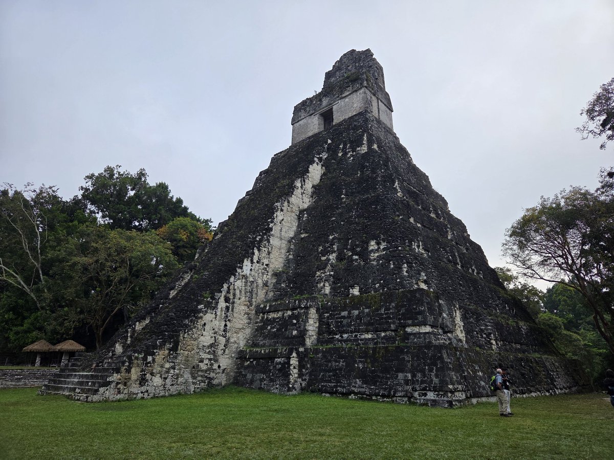 Harry Dayantis tweet media