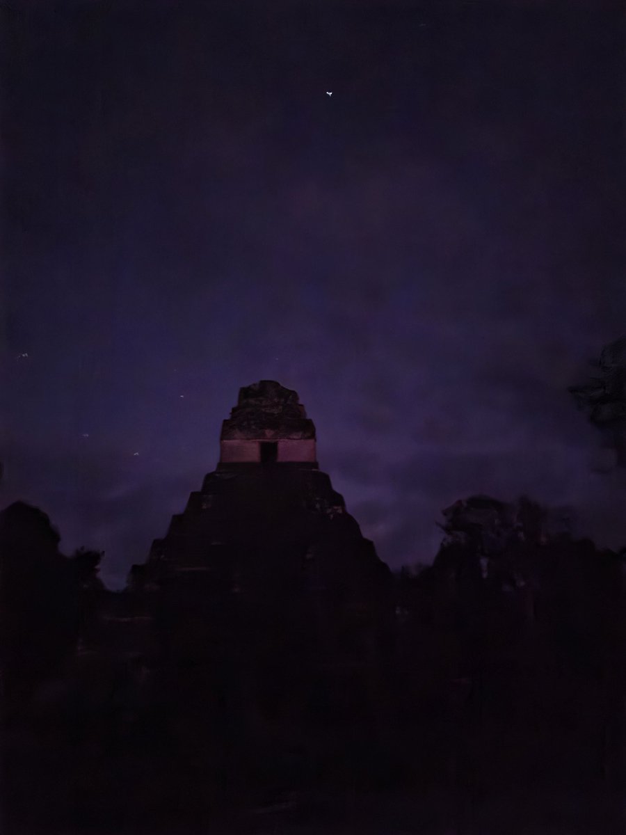 Harry Dayantis tweet media