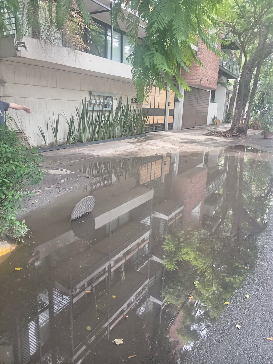 GusCast1's tweet photo. Buena Tarde @AccionesBJ @AlcaldiaBenito nos pueden ayudar a desazolvar la coladera en Concepción Beistegui #1354 casi esquina pitgoras en la colonia Narvarte poniente.gracias de antemano @LuisMendozaBJ https://t.co/5vHl1MJLdN