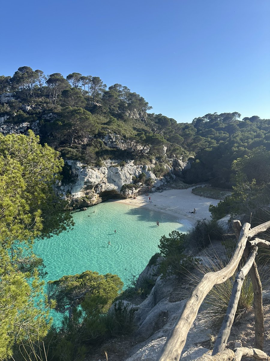 adricortesp's tweet photo. ☀️🐚🤿🏝️ https://t.co/TaPVUU9gd2