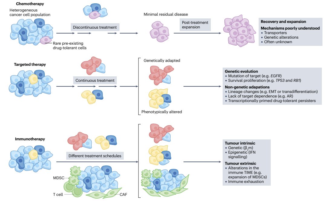 jsoriamd's tweet image. #ASCO25 Development of acquired therapeutic resistance limits the efficacy of cancer treatments. How resistance arises, varies across cancer types & differs depending on therapeutic modalities. nature.com/articles/s4156…