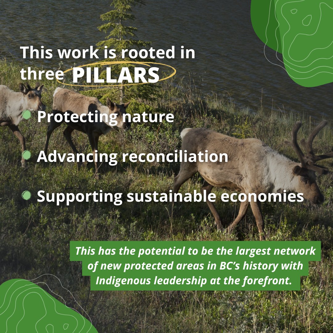 CPAWS BC tweet media