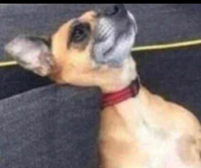 Mimi hearts mulungi naye mukoddo ku Pu$$¥ ye