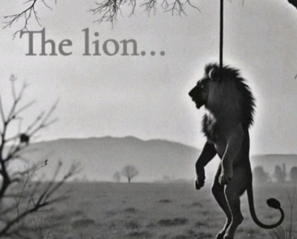 Al4n (@al4neu) on Twitter photo 
