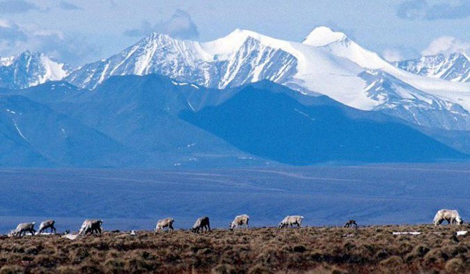 Trump begins rescinding Biden’s restrictions on gas and oil drilling in Alaska opening 13 million acres
trib.al/40cOYKv - Washington Times